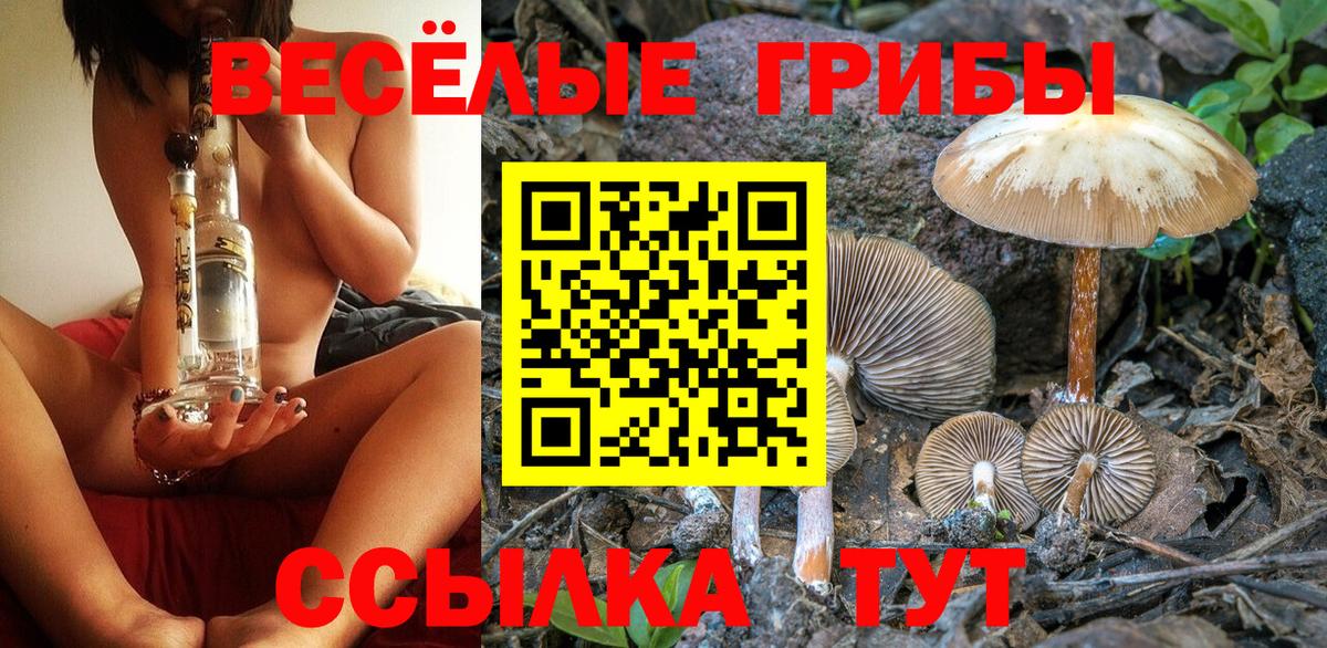 Галлюциногенные грибы Magic Shrooms Амурск